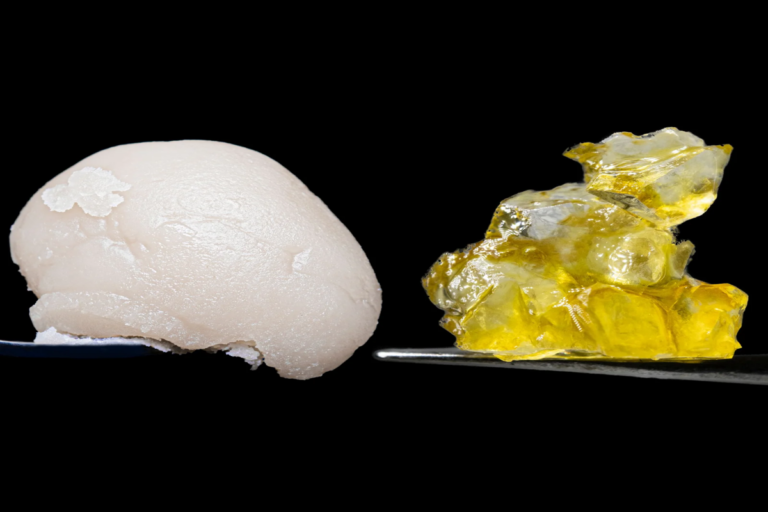SOLVENTLESS VS BHO