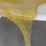 live hash rosin fresh press