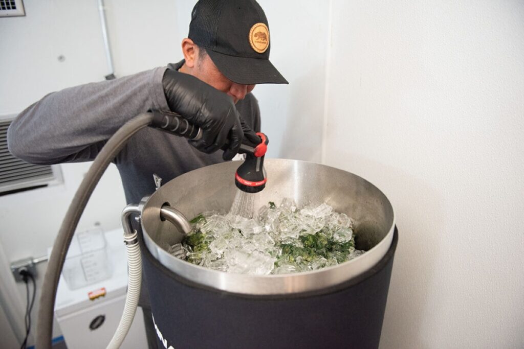 SOLVENTLESS EXTRACTION