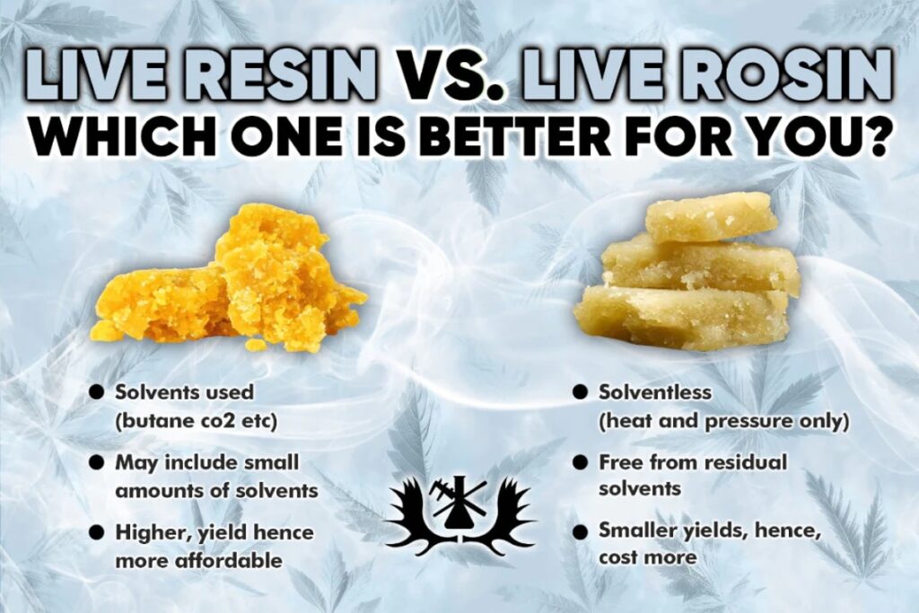 LIVE RESIN VS LIVE ROSIN