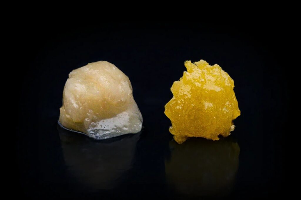 LIVE ROSIN VS LIVE RESIN