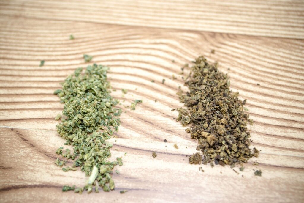 cannabis flower comparison
