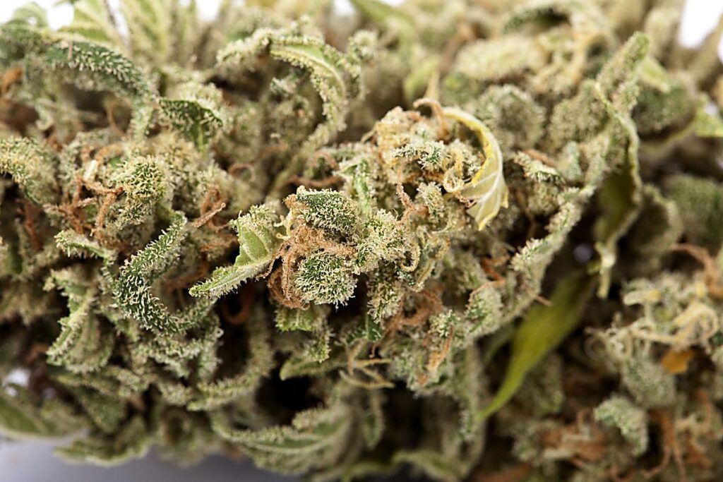 why craft cannabis costs more