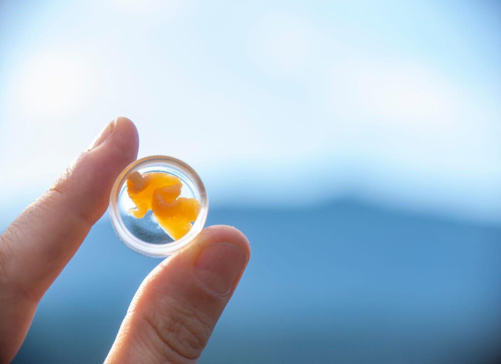 where to find premium craft cannabis