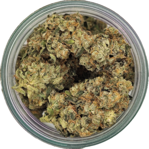 Dense frosty Sour x Chemdawg flower grown by a private BC ACMPR cultivator featuring sour citrus aromas, diesel gas terpenes, and potent hybrid effects.