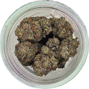 Dense frosty Tuna Flower buds from a private BC ACMPR grower featuring classic tuna gas aromas and potent old-school craft cannabis effects.