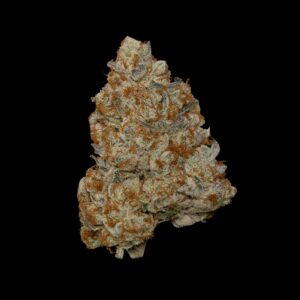 Pudding Pop by Toronto Organicz Forum Cut GSC x Dosidos living soil flower
