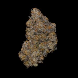 Sherbanger 22 SB22 by Toronto Organicz Sherb x Headbanger living soil flower