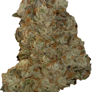 Sowabunga by Toronto Organicz Sour Diesel x Headband living soil organic flower