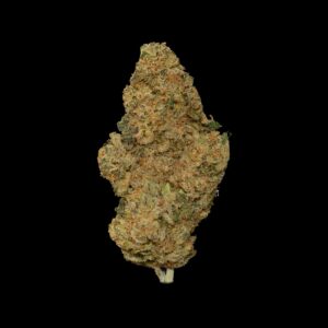 Starburst OG by Trichome Valley small-batch craft flower