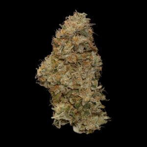 Zowah by Toronto Organicz Zkittlez x Sour living soil organic flower